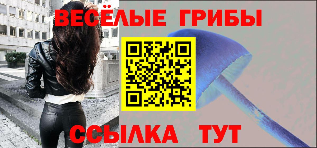 Псилоцибиновые грибы GOLDEN TEACHER  Вход с VPN  Азнакаево 